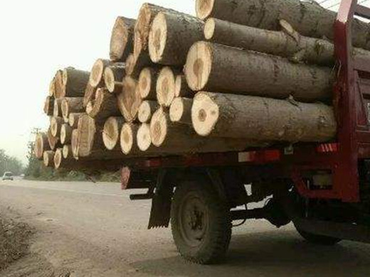 榕江多家部门联合打击运输木材交通违法行为